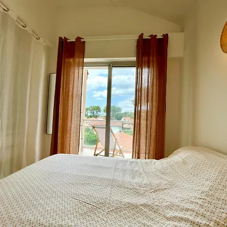 Les Pins Tranquilles, Au Coeur De
